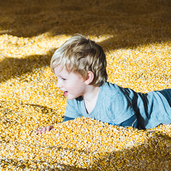 corn